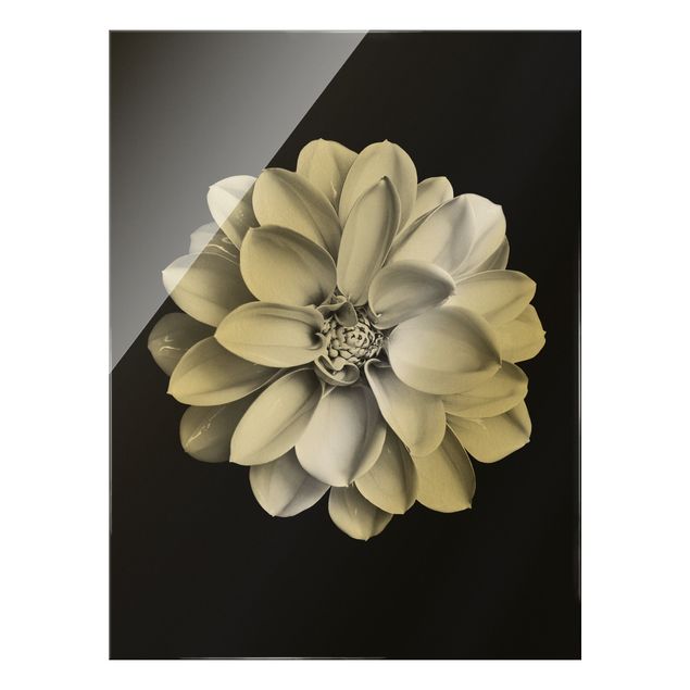 Glass print - Dahlia Black And White - Portrait format