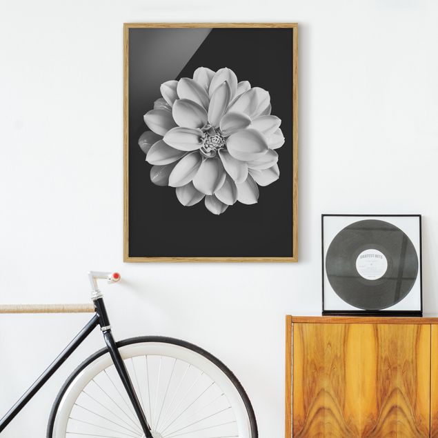 Framed poster - Dahlia Black And White