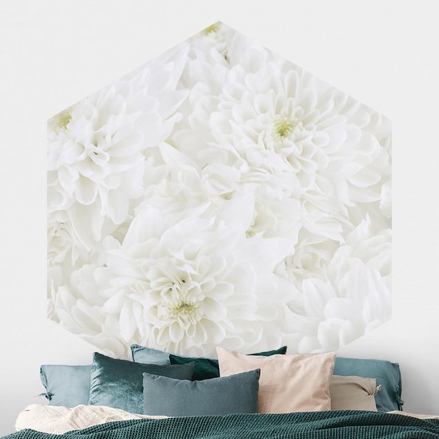 Wallpapers Dahlia Sea Of Flowers White