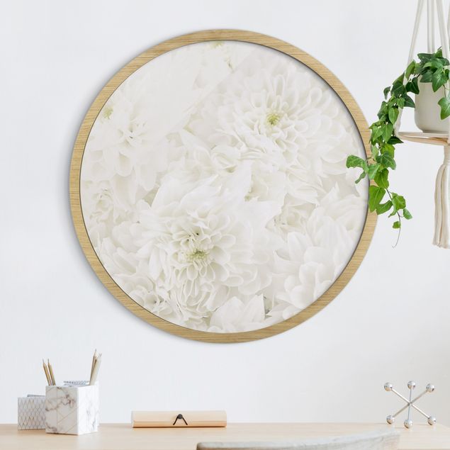 Framed prints round Dahlia Sea Of Flowers White