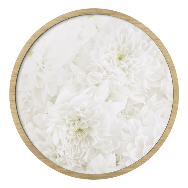 Circular framed print - Dahlia Sea Of Flowers White