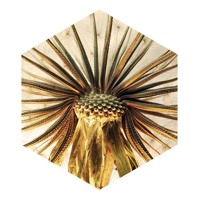 Self-adhesive hexagonal pattern wallpaper - Dandelion Close Up
