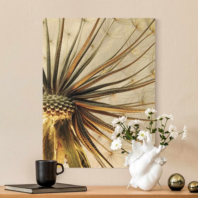 Canvas print gold - Dandelion Close Up