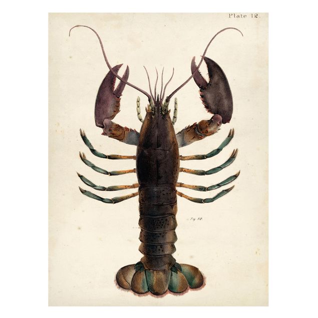 Magnetic memo board - Vintage Illustration Lobster