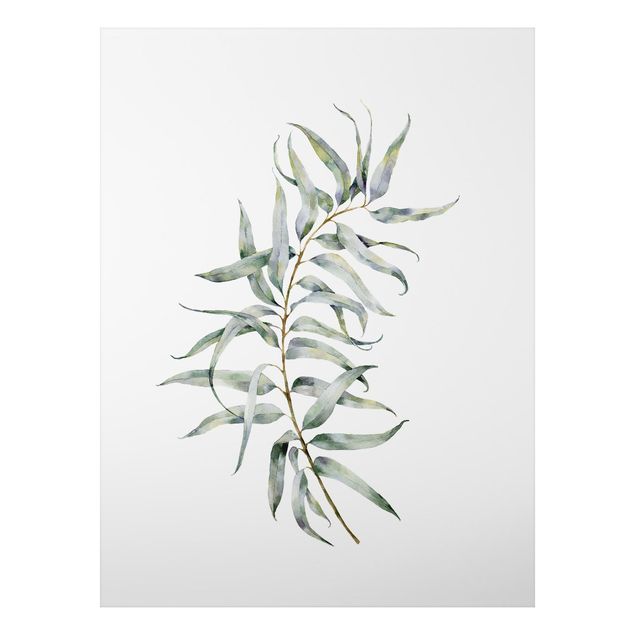 Print on aluminium - Waterclolour Eucalyptus lV