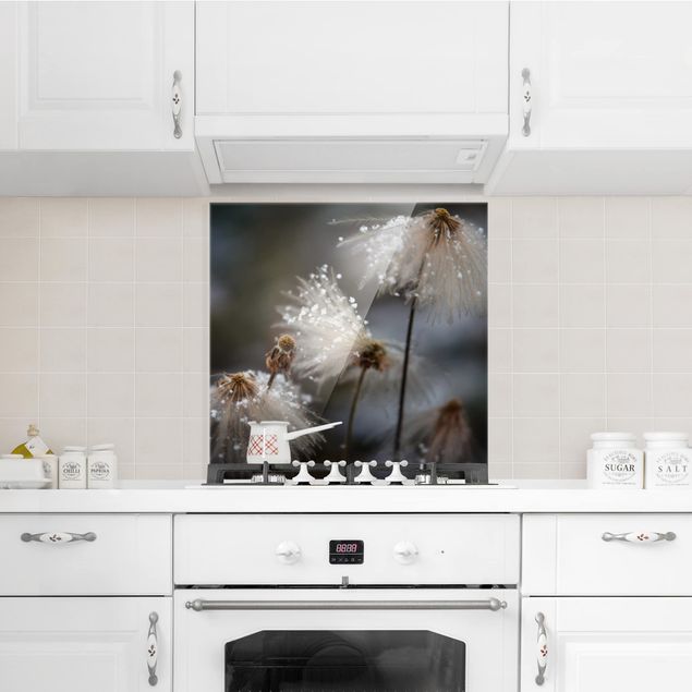 Glass splashback kitchen Dandelions With Snowflakes