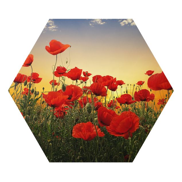 Alu-Dibond hexagon - Poppy Field In Sunset