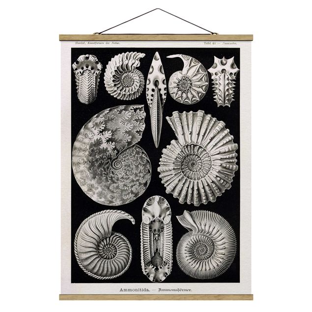 Fabric print with poster hangers - Vintage Board Fossils Black And White