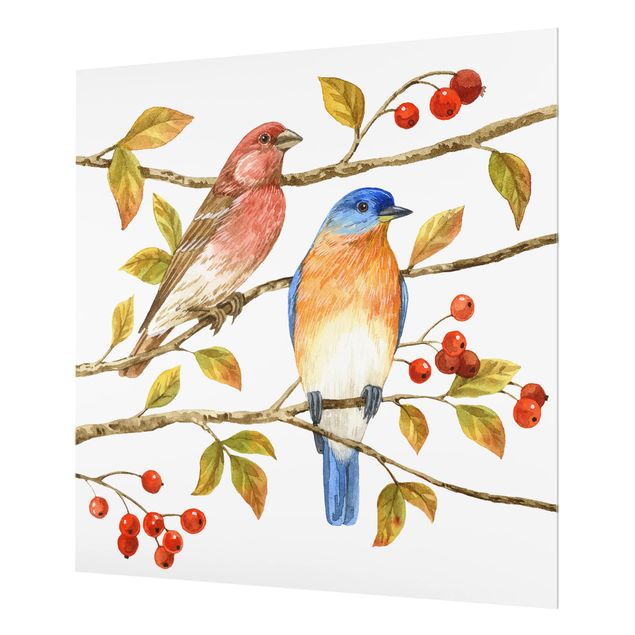 Glass Splashback - Birds And Berries - Bluebird - Square 1:1