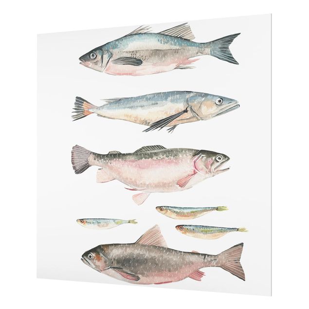 Glass Splashback - Seven Fish In Watercolor I - Square 1:1