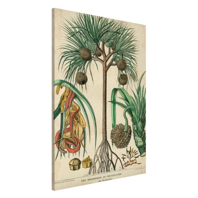 Magnetic memo board - Vintage Board Exotic Palms I
