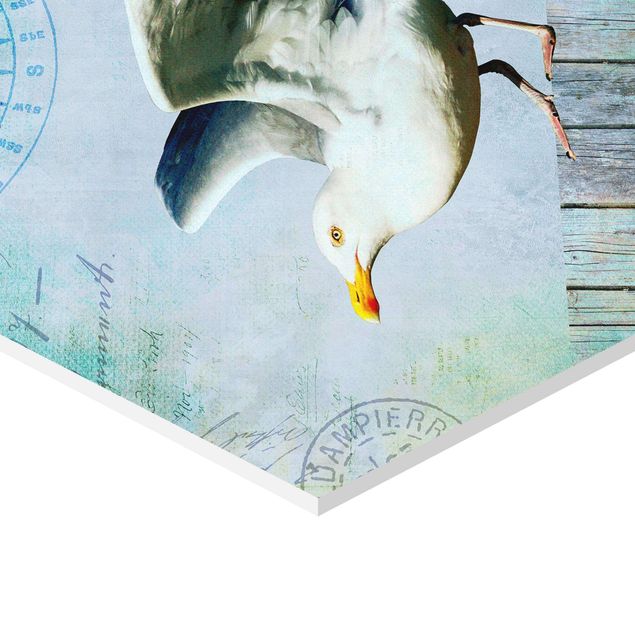 Hexagon Picture Forex - Vintage Collage - Seagull On Wooden Planks