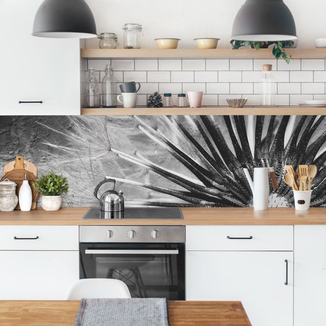 Kitchen splashback black and white Dandelion Black & White