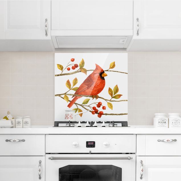 Glass splashback kitchen Birds And Berries - Northern Cardinal