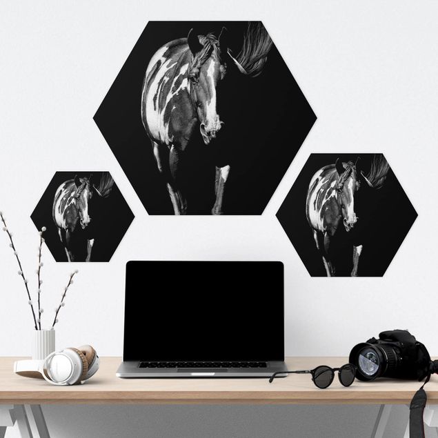 Forex hexagon - Horse In The Dark