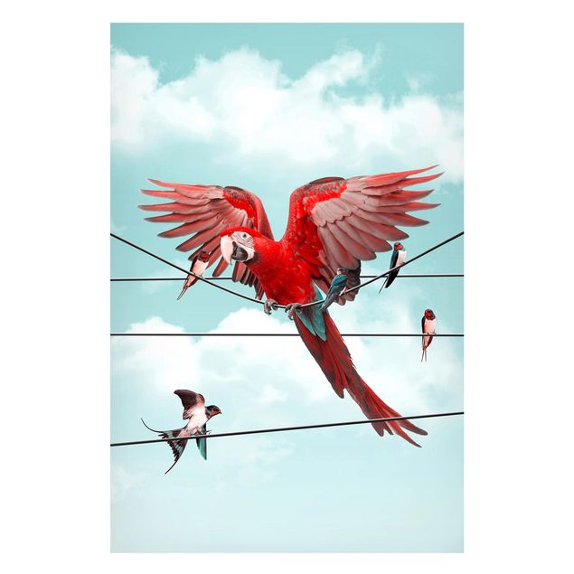 Magnetic memo board - Sky With Birds