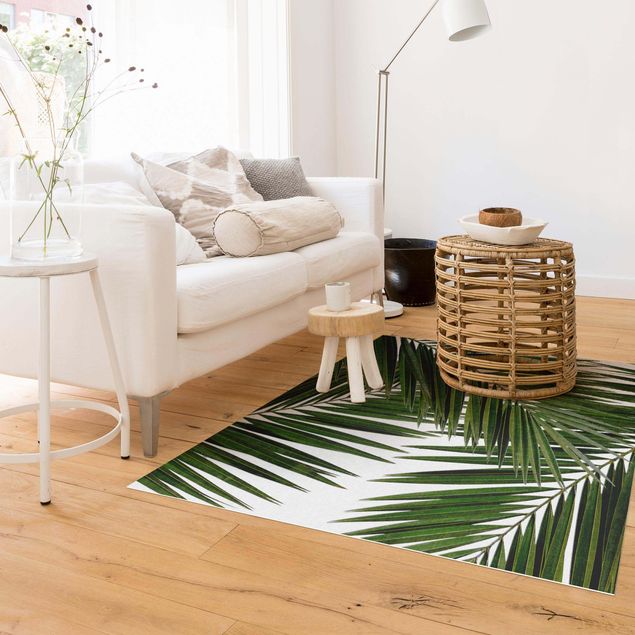 Modern rugs View Through Green Palm Leaves