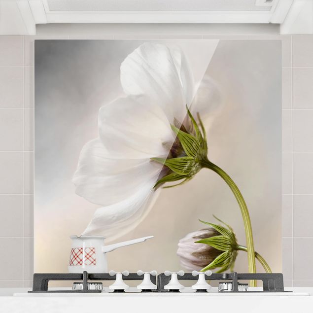 Glass splashback kitchen flower Heavenly Flower Dream