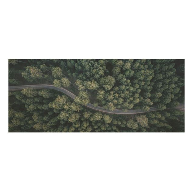 Wood print - Aerial View - Forest Road From The Top