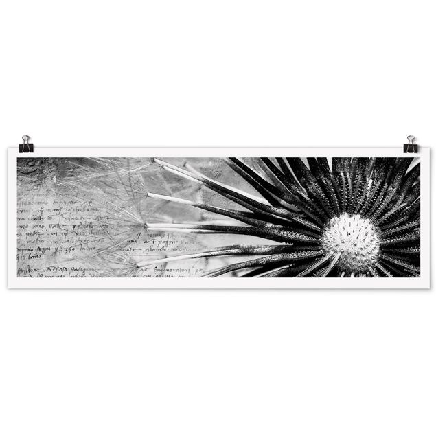 Poster - Dandelion Black & White