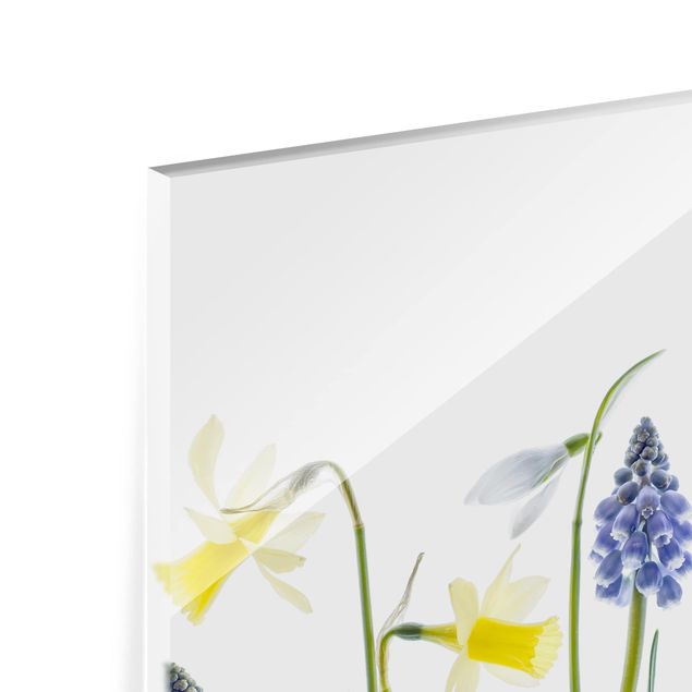 Glass Splashback - Spring Flowering - Landscape 3:4