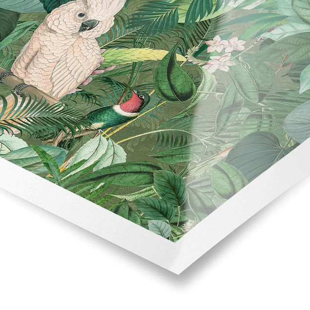 Poster - Vintage Collage - Kakadu And Hummingbird