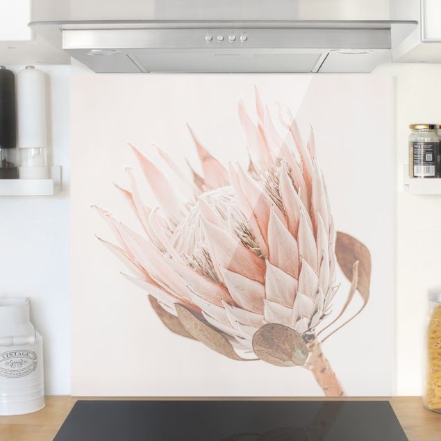 Glass splashback kitchen flower Protea Queen Of Flowers