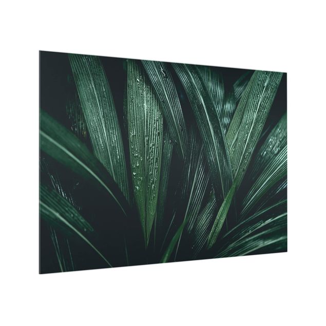 Glass Splashback - Green Palm Leaves - Landscape 3:4