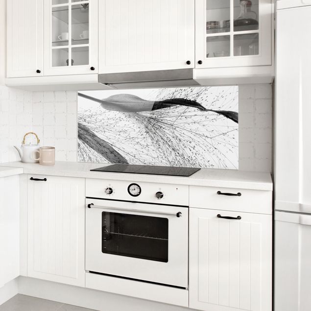 Glass splashbacks Delicate Reed With Subtle Buds Black And White