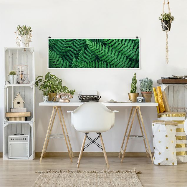 Panoramic poster flowers - Fern