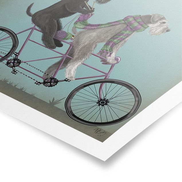 Poster - Cycling - Schnauzer Tandem