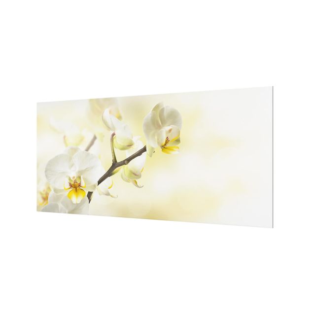 Splashback - Orchid Twig