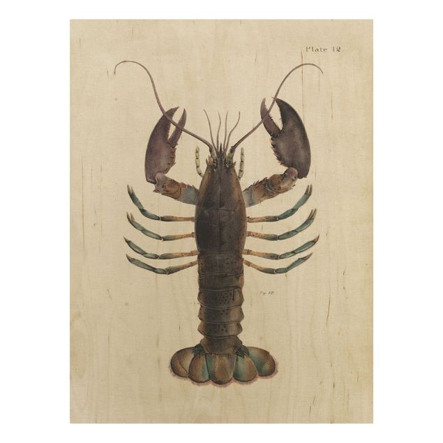 Print on wood - Vintage Illustration Lobster