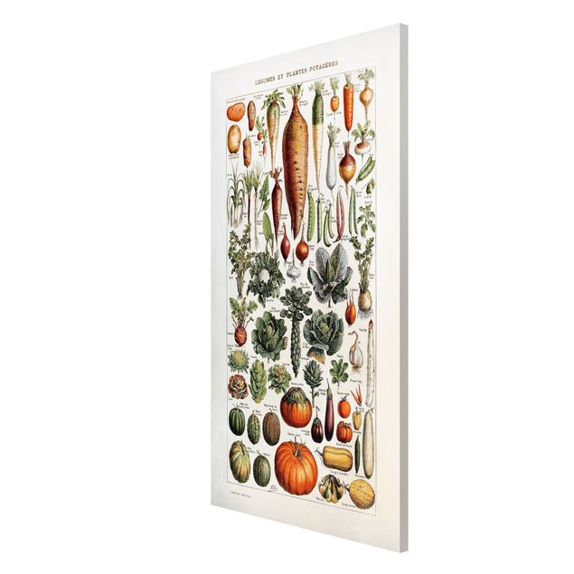 Magnetic memo board - Vintage Board Vegetables