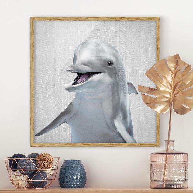 Framed poster - Dolphin Diddi