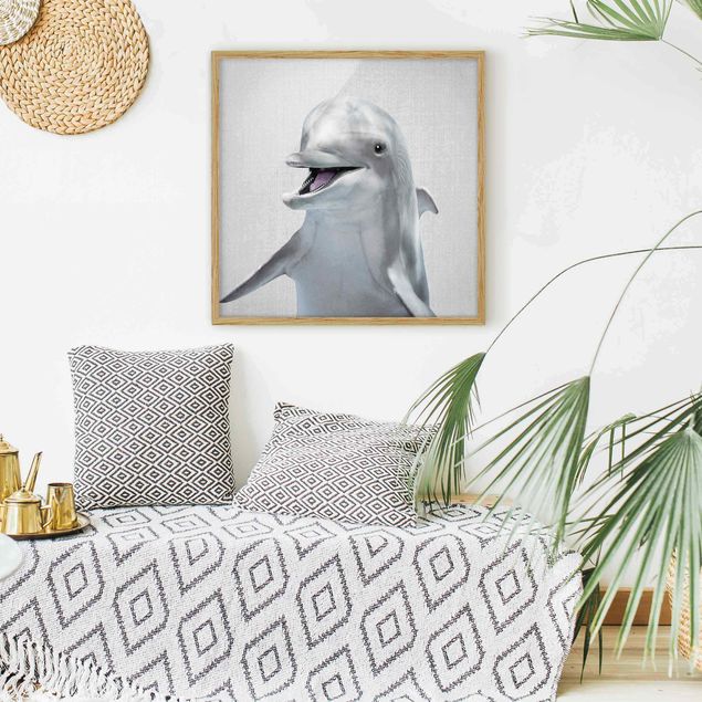 Framed poster - Dolphin Diddi