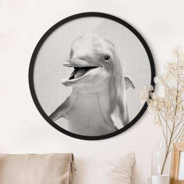 Framed prints round Dolphin Diddi Black And White