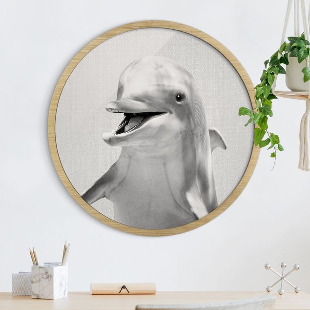 Framed prints round Dolphin Diddi Black And White