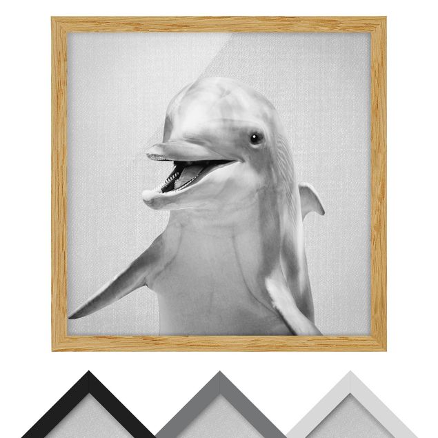 Framed poster - Dolphin Diddi Black And White