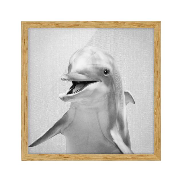 Framed poster - Dolphin Diddi Black And White