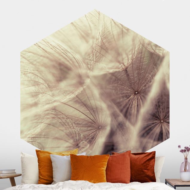 Hexagonal wallpapers Detailed Dandelion Macro Shot With Vintage Blur Effect