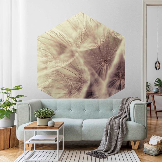 Self-adhesive hexagonal pattern wallpaper - Detailed Dandelion Macro Shot With Vintage Blur Effect