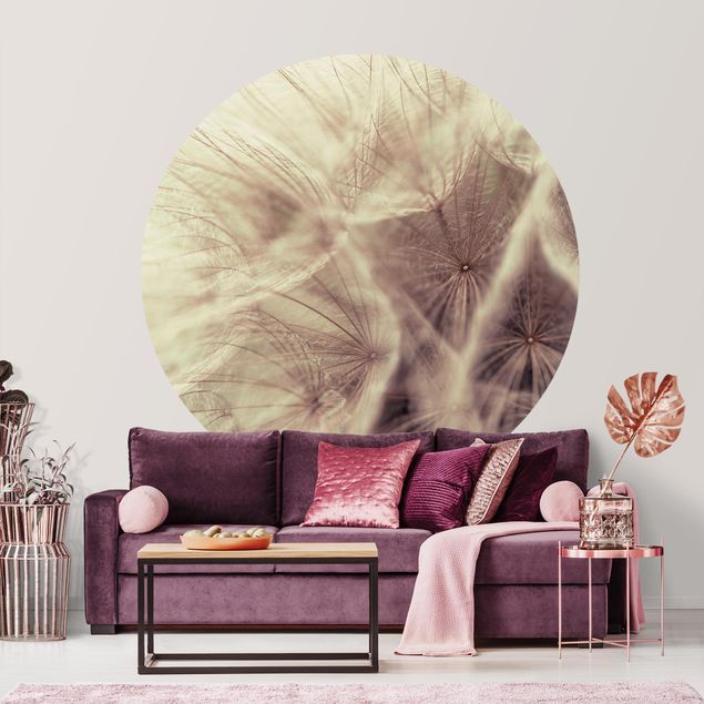 Self-adhesive round wallpaper - Detailed Dandelion Macro Shot With Vintage Blur Effect