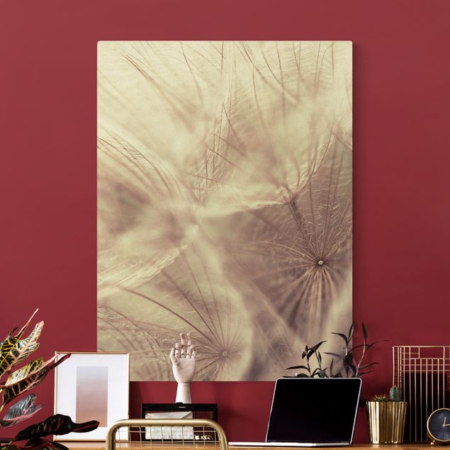 Canvas print gold - Detailed Dandelion Macro Shot With Vintage Blur Effect