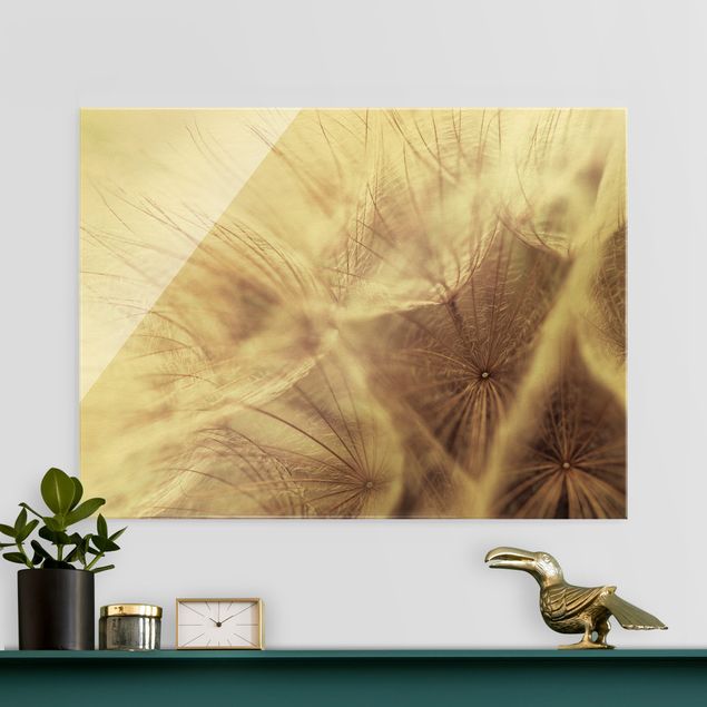 Glass print - Detailed Dandelion Macro Shot With Vintage Blur Effect - Landscape format