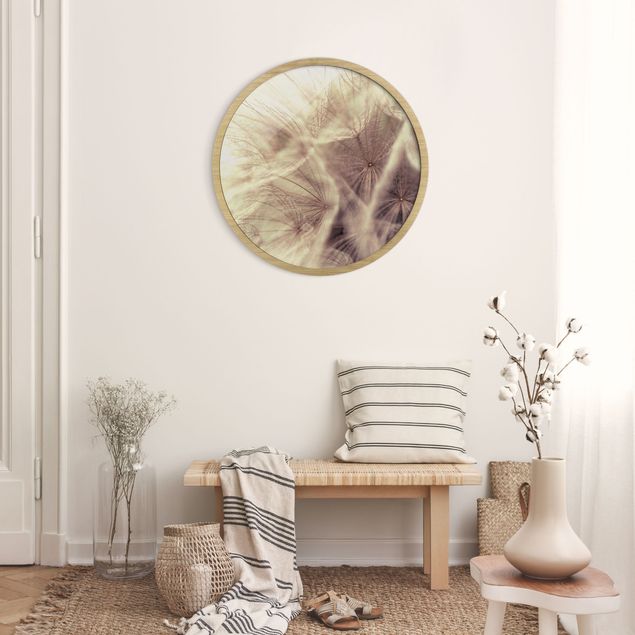 Circular framed print - Detailed Dandelion Macro Shot With Vintage Blur Effect