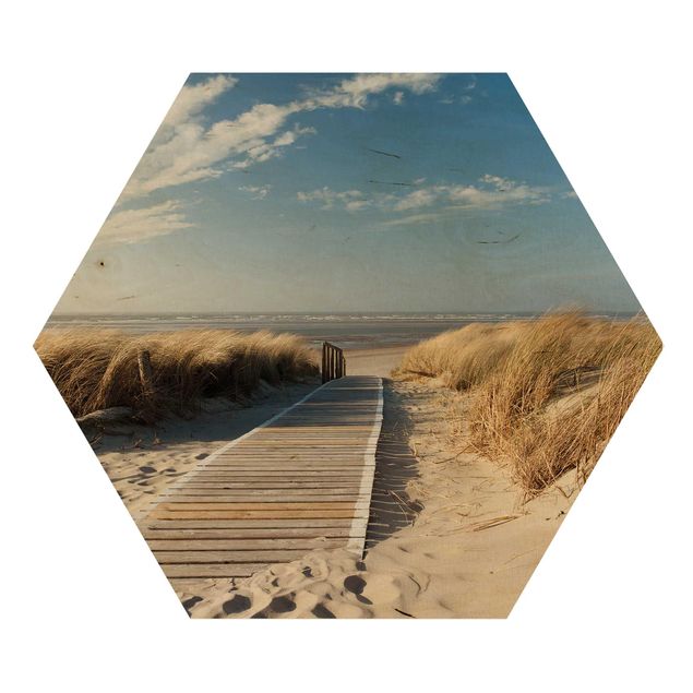 Wooden hexagon - Baltic Sea Beach