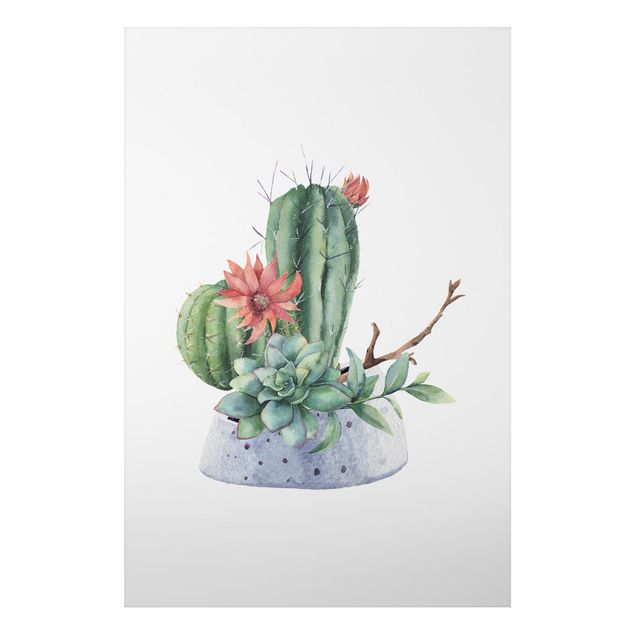 Print on aluminium - Watercolour Cacti Illustration