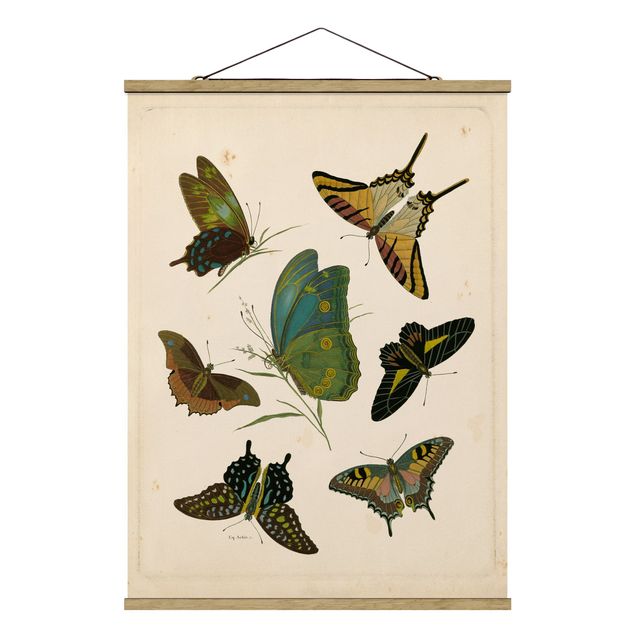 Fabric print with poster hangers - Vintage Illustration Exotic Butterflies