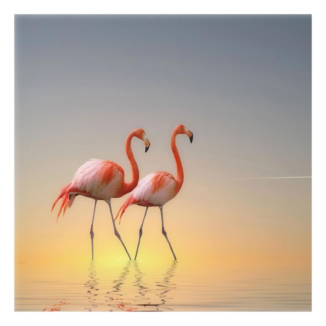 Glass Splashback - Flamingo Love - Square 1:1